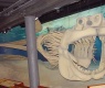 Megalodon Skeleton, Calvert Marine Museum, Maryland