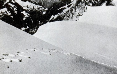 1937 yeti footprints