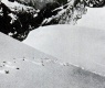 1937 Yeti Footprints