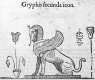 Gryphon, 1642