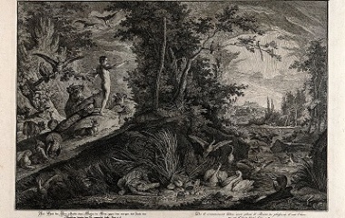 Adam overlooks the Garden of Eden