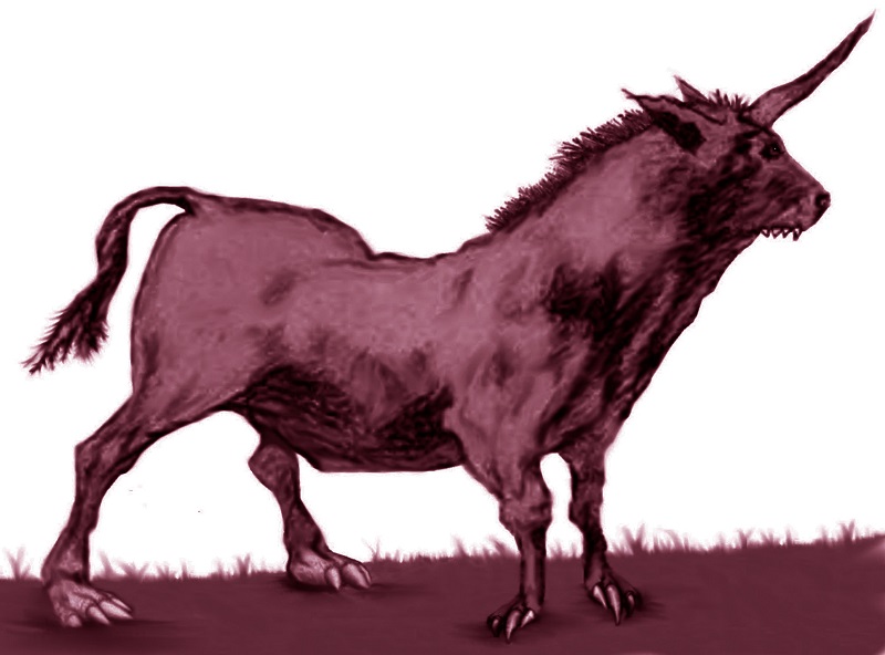 Camahueto - The South African Unicorn