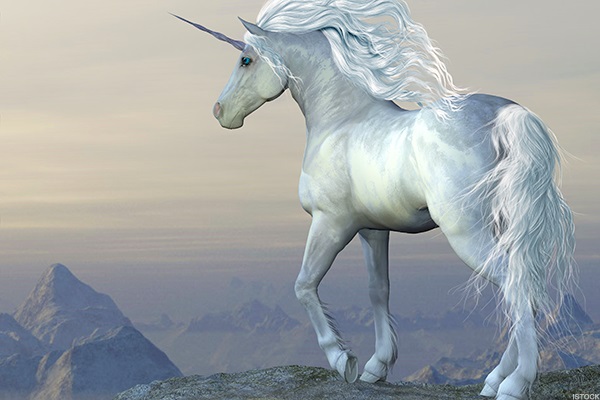 Unicorn - Description, History, Stories & Interpretations | Mythology.net