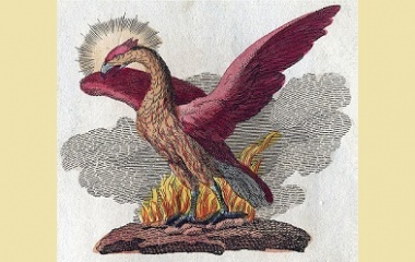 Phoenix, 1728