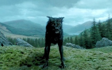 Sirius Black shapeshifts black dog
