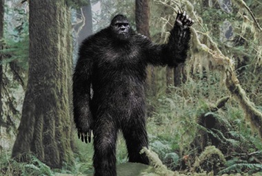 Bigfoot (Folklore) | Mythology.net