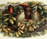 Elf And Owls, Illustration