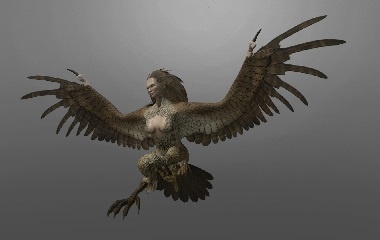 Harpy Eagle, Harpy, legendary Creature, vertebrate, owl png
